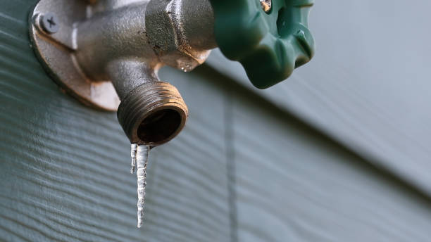 Best Sewer Line Repair  in Eaton, IN